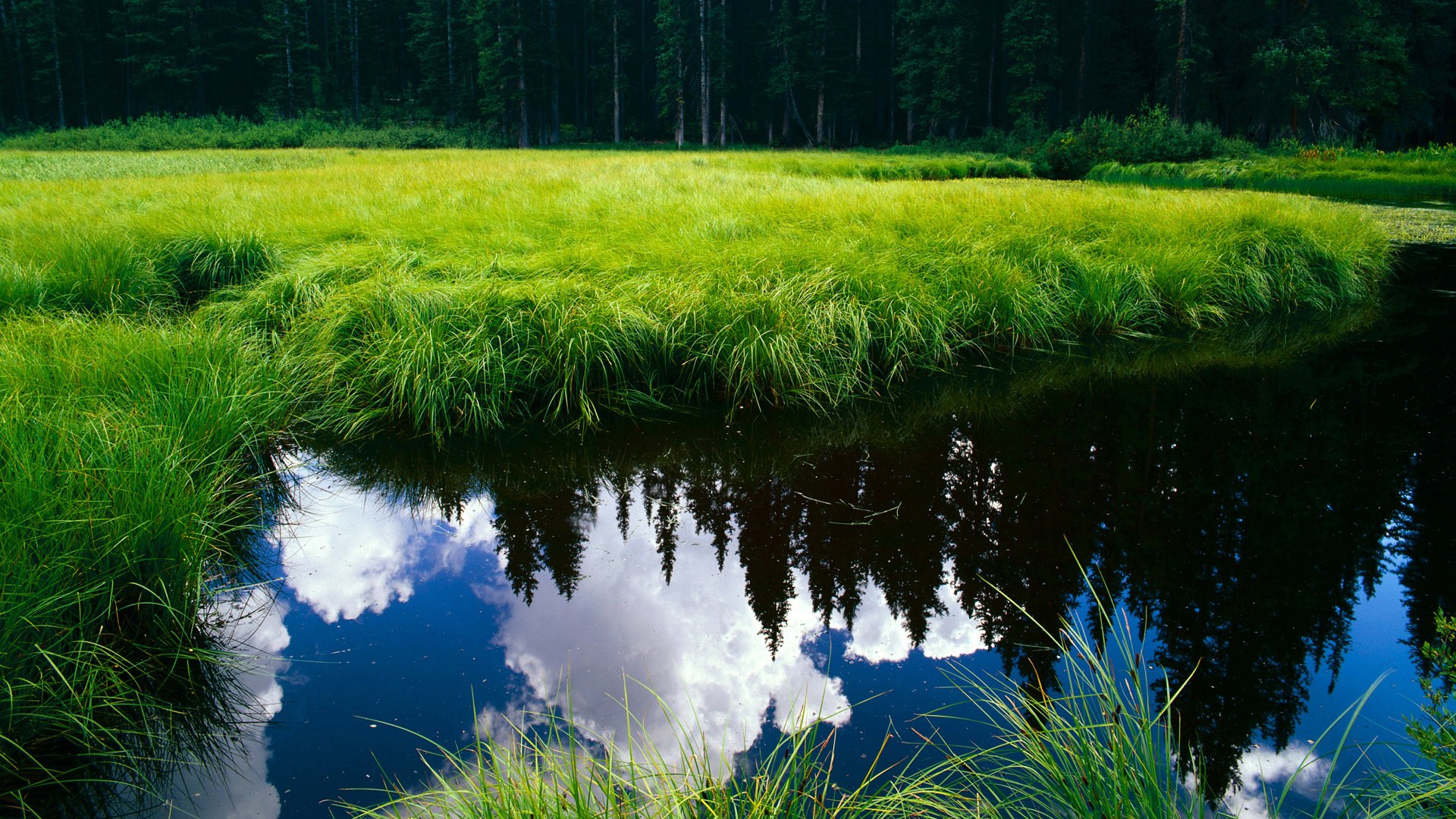 开云·体育官网-“智能数据分析助力球队战术更迭，比赛更加激烈精彩”，球队 数据 分析