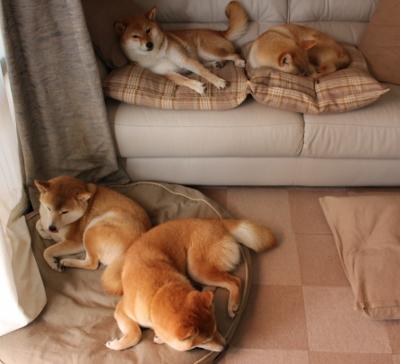 女子足球联赛冠军争夺激烈,赛事精彩纷呈,女子足球大赛