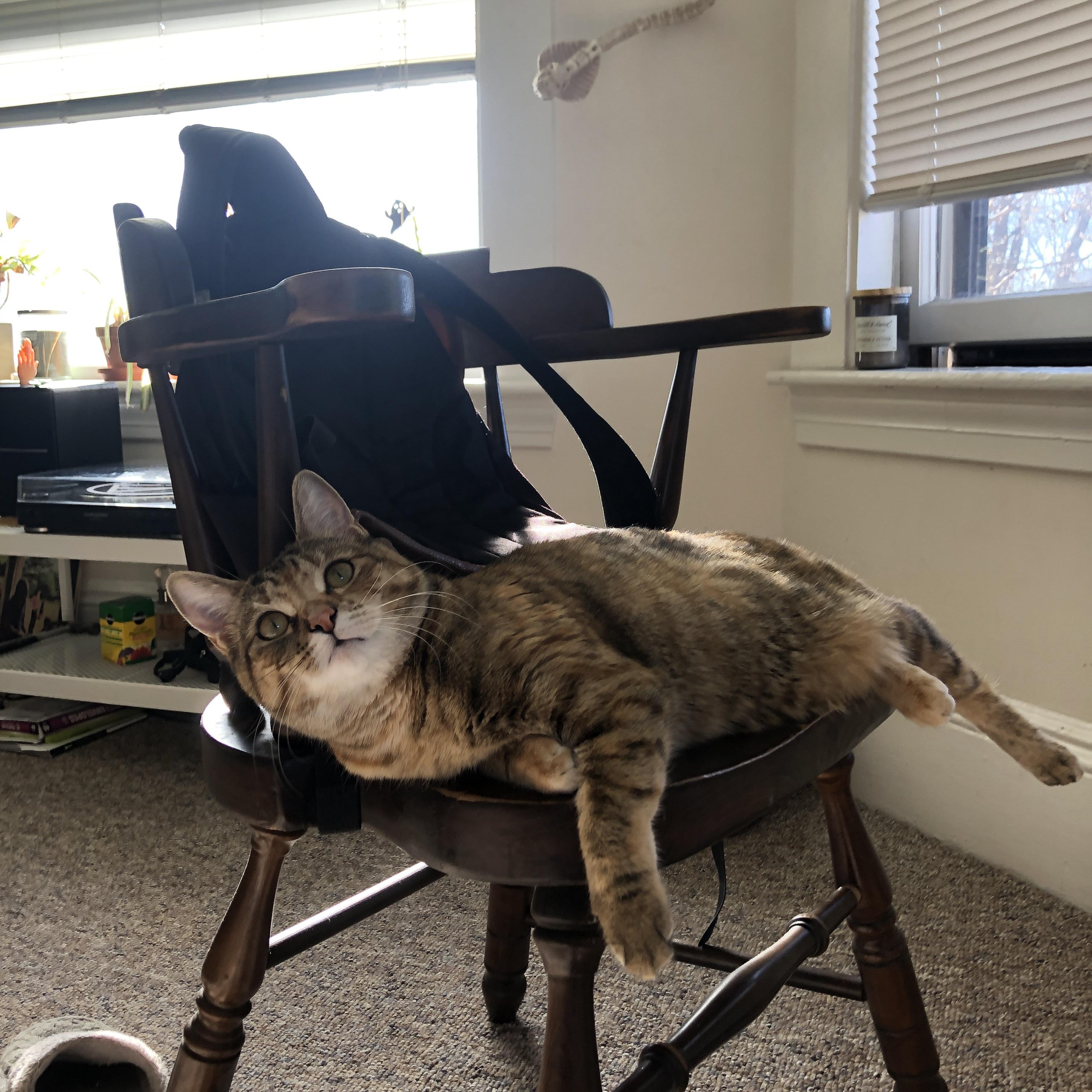 开云·Kaiyun网页版-夺冠“终极武器”：那些不可或缺的战术奇兵，战术尖兵