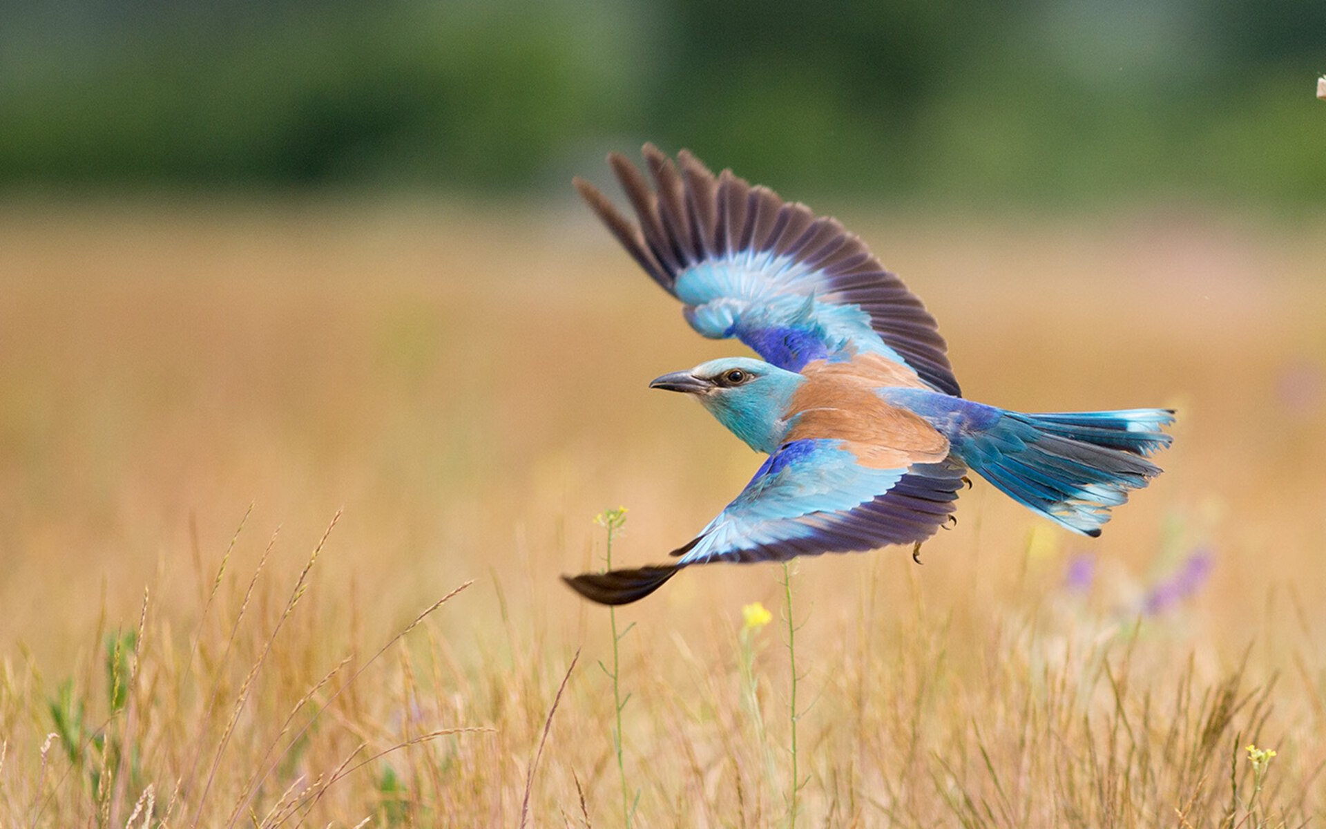 广州恒大客场获胜,稳居榜首位置,广州恒大球场最新进展