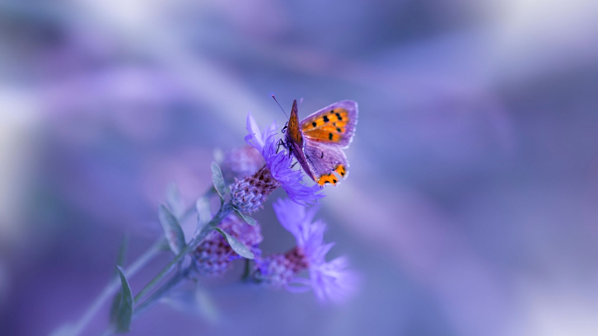 比赛中发生的重要瞬间成为球迷热议的焦点,比赛中可能出现的问题