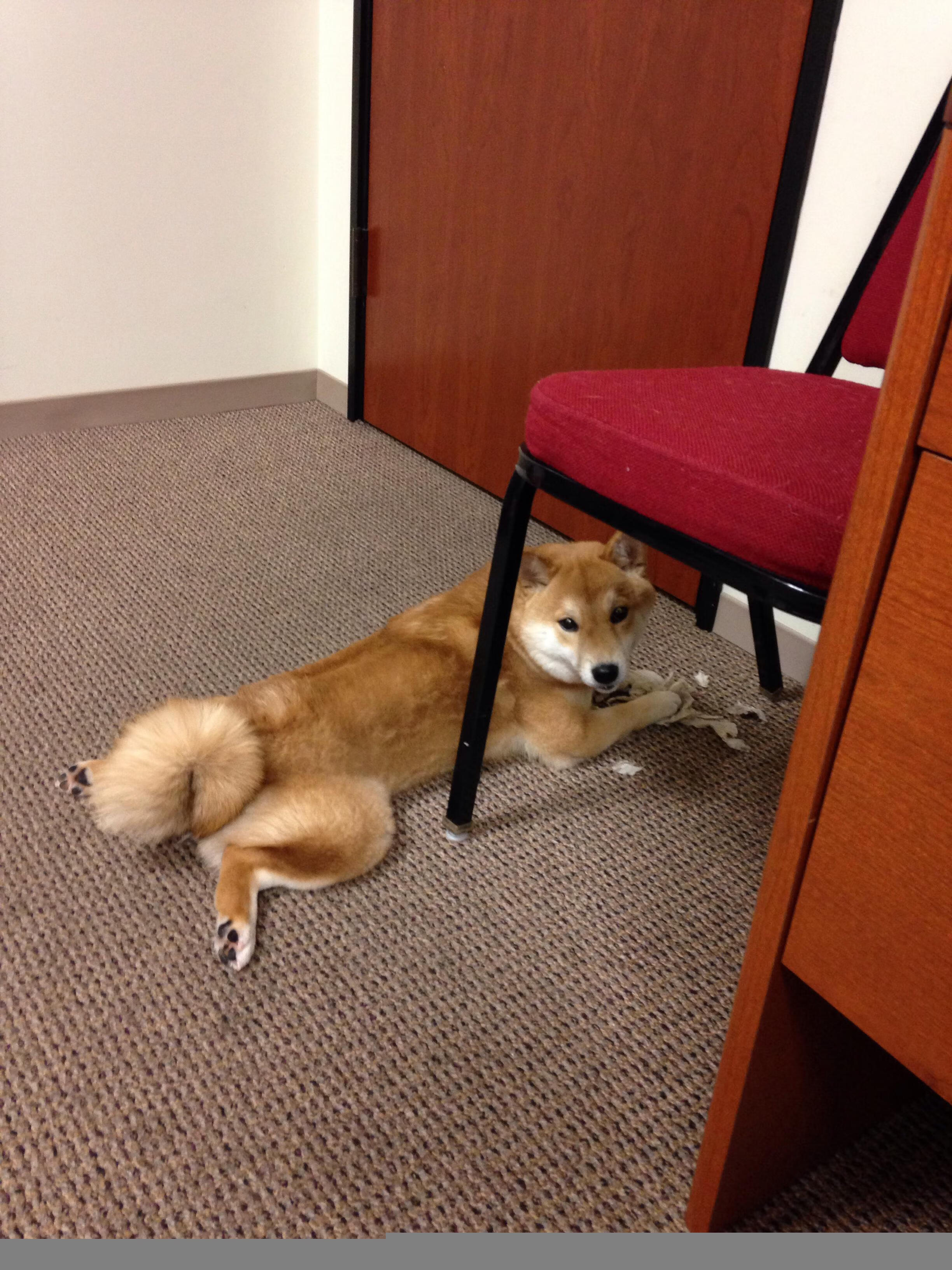 开云·体育官网-电竞赛事营销推广新模式探讨，电竞赛事app推广