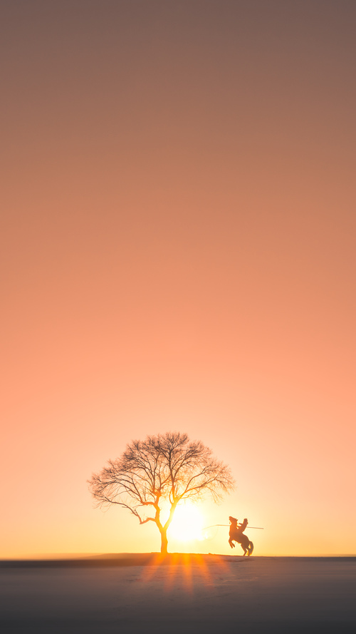 美国骑手吉塔·日特科维奇荣获2024年最佳障碍赛骑手奖,表彰其卓越表现。