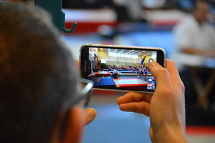 kaiyun官方网站-中国篮球联赛市场细分与营销研究，篮球联赛介绍