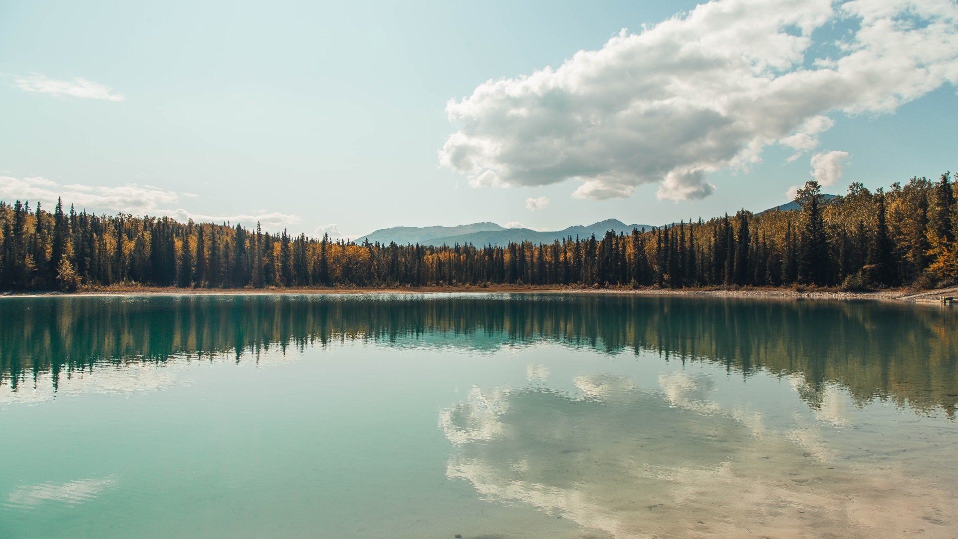 开云官网-世界杯预选赛战术解读 中超晋级成焦点，世界杯预选赛中国队局势