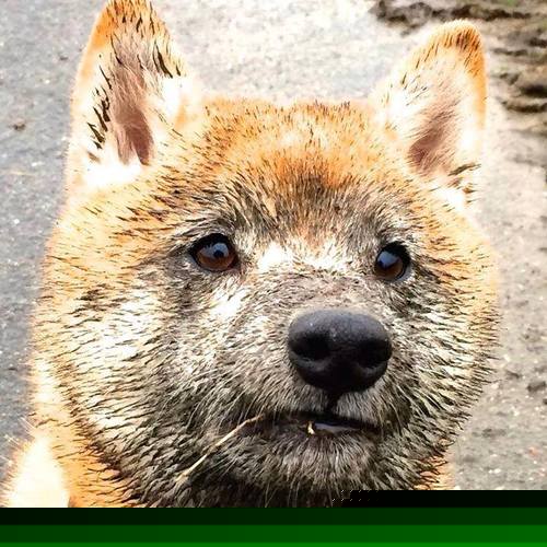 Kaiyun APP-比赛转播技术持续革新优化，比赛转播技术持续革新优化方案