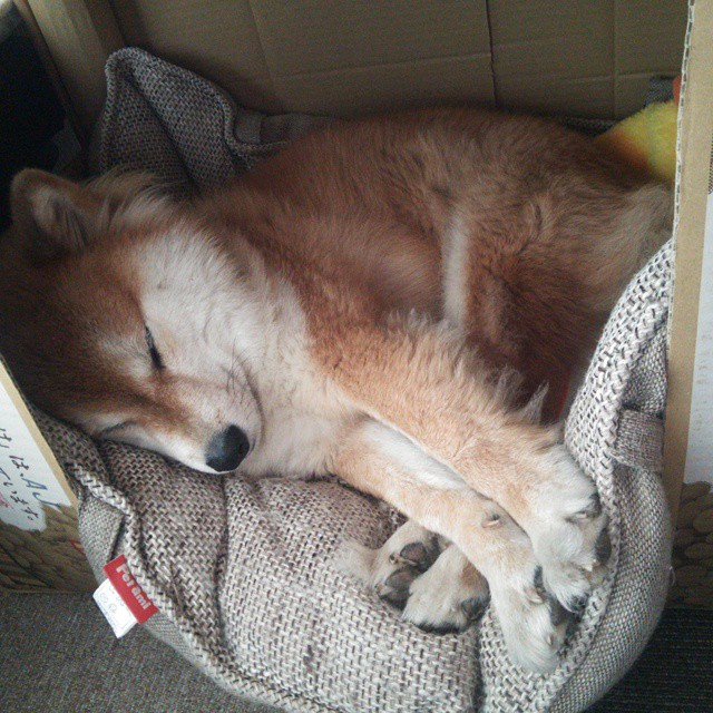 开云官方网页登录-比赛节奏决定控球率还是控球时间，比赛节奏名词解释