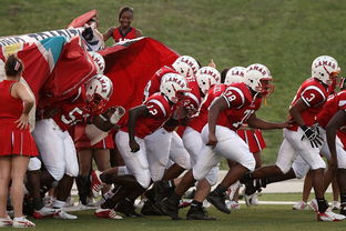 开云官方网站-76人球队文化墙正式揭幕展示历史荣誉，76人队图案