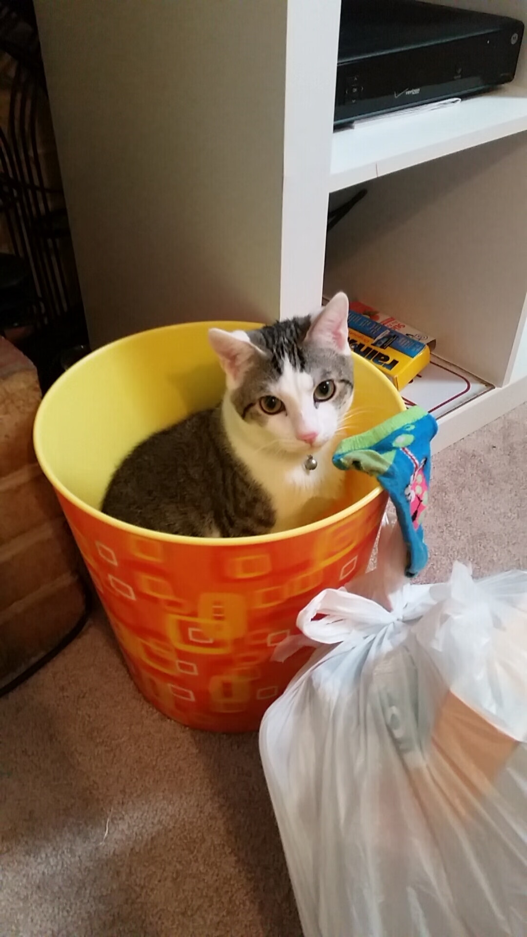 开云入口-“费尔南多·比亚尔巴：阿根廷美洲狮队不可替代的进攻引擎”