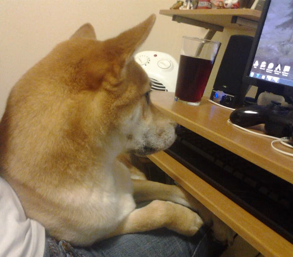 中甲联赛加强新媒体合作打造多终端观赛体验