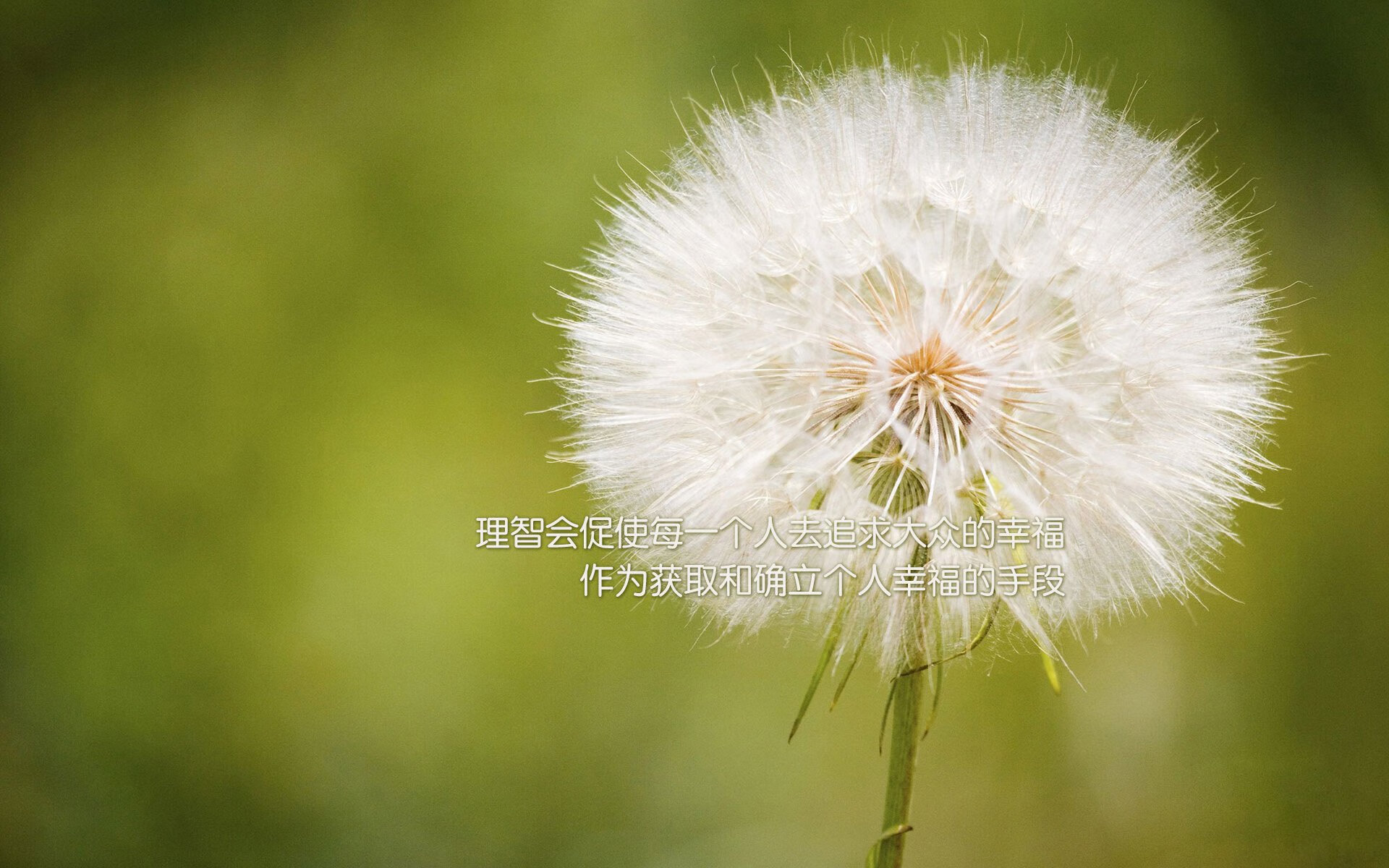 伤病管理体系优化减少球员长期伤缺影响整体竞技状态,伤病参与度